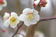 IMGP0322