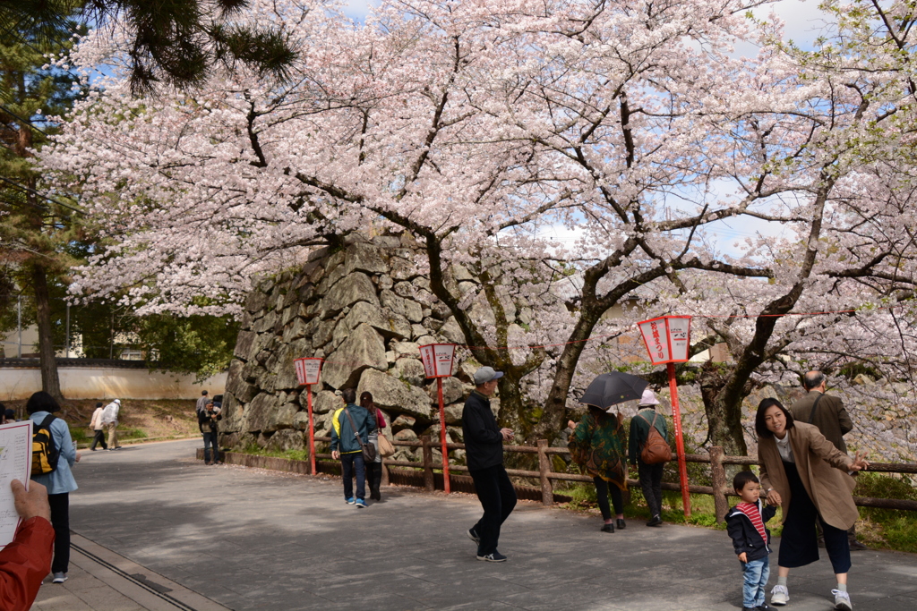 城郡城 002