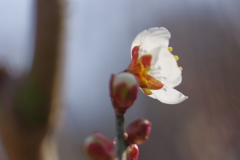 IMGP0634