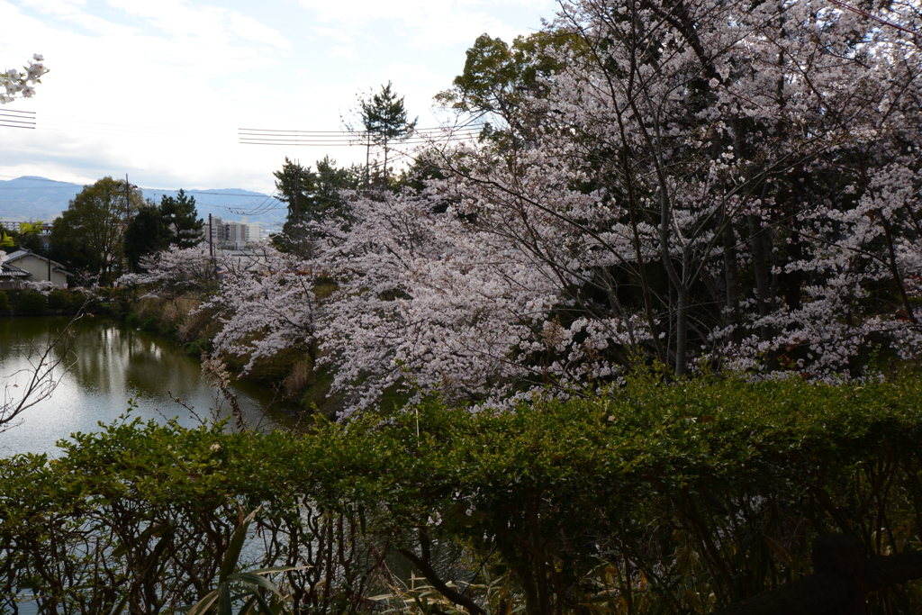 城郡城 030