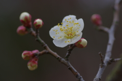 IMGP0127