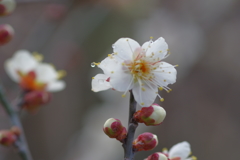 IMGP0235