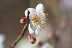 IMGP0155