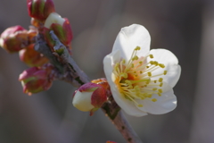 IMGP0635