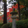 IMGP0503