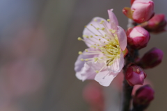 IMGP0639