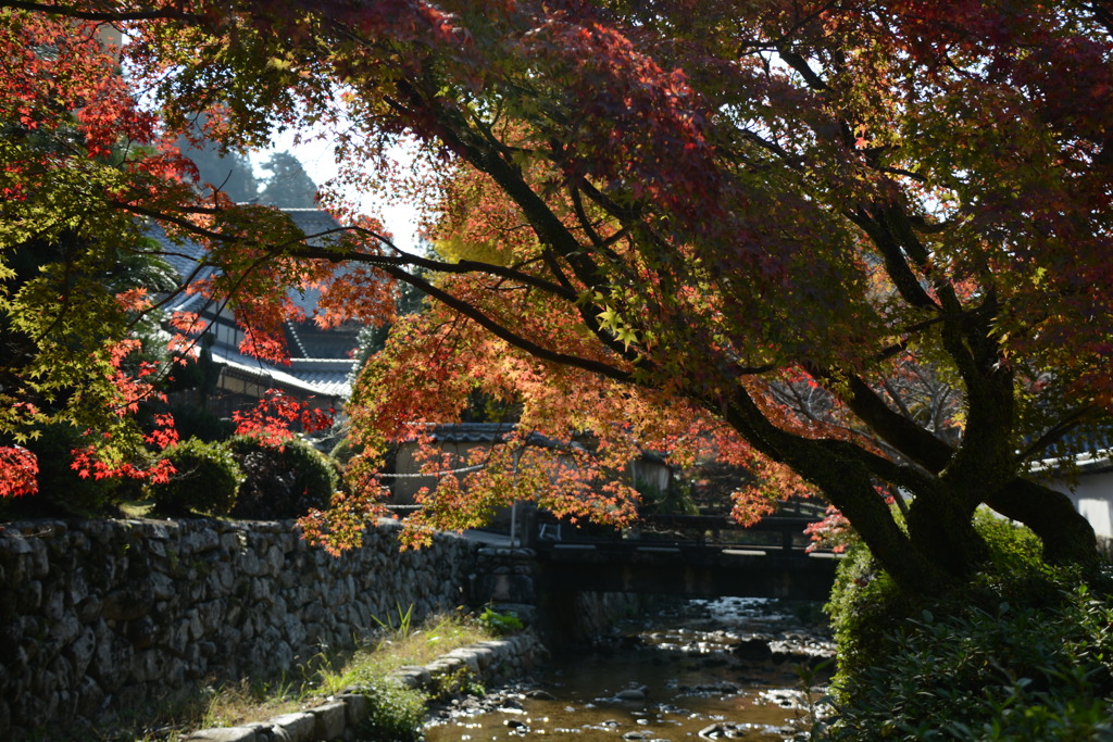 DSC_0838