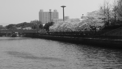 L1030976