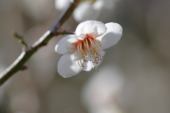 IMGP0159