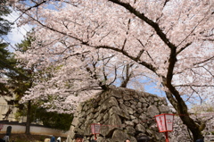 城郡城 074
