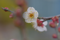 IMGP0303