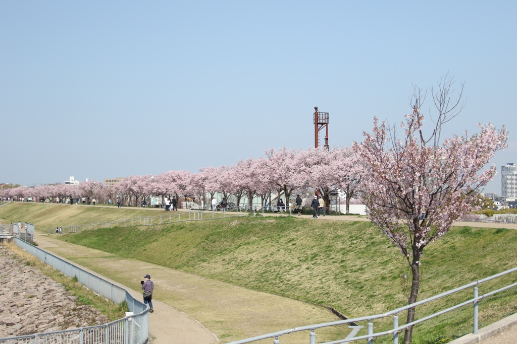 3S0A0696