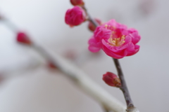 IMGP0608