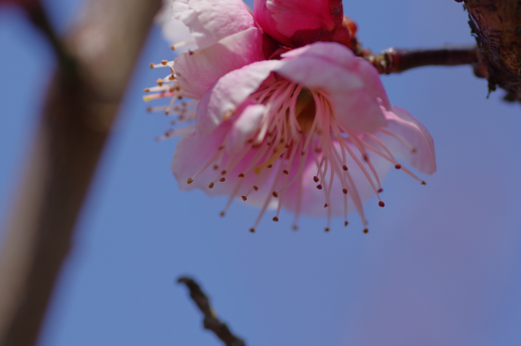 IMGP0666