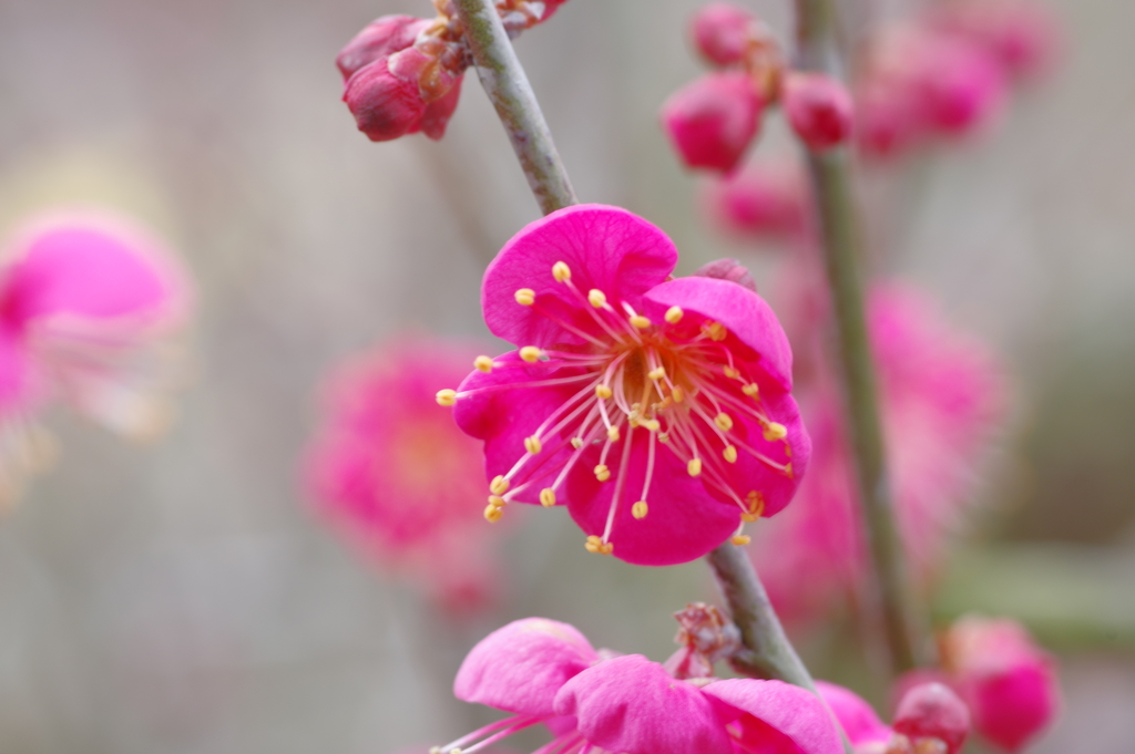 IMGP0334