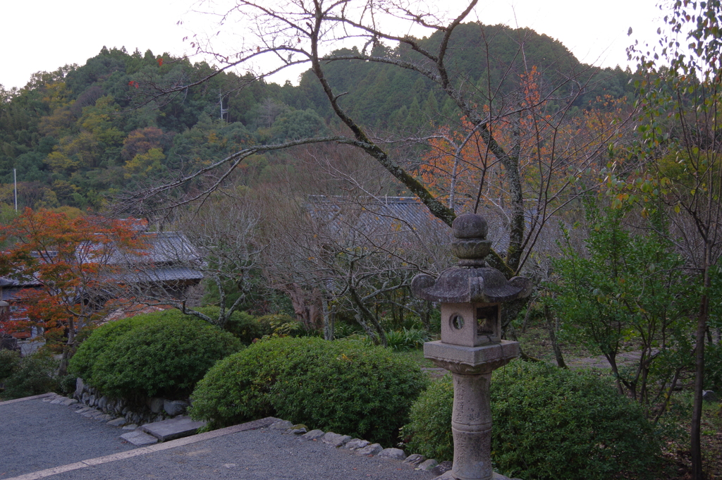 IMGP0518