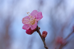 IMGP0282