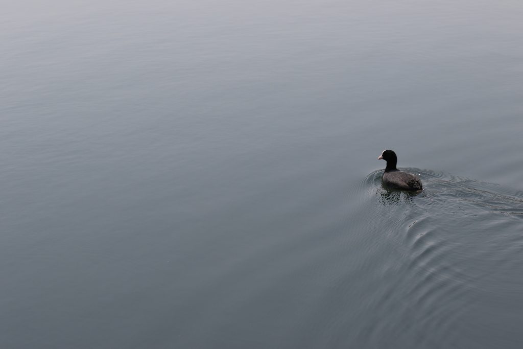3S0A0332