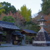 IMGP0475