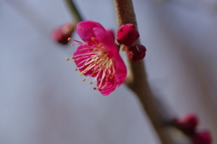 IMGP0649