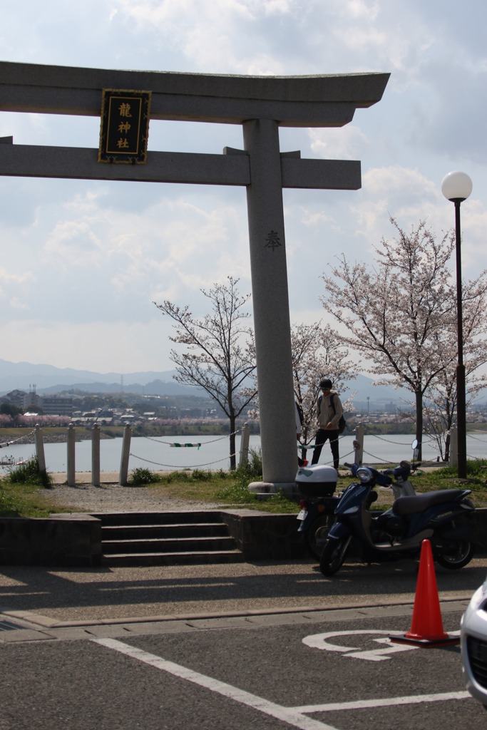 3S0A0781