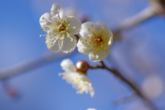 IMGP0179