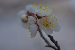 IMGP0646