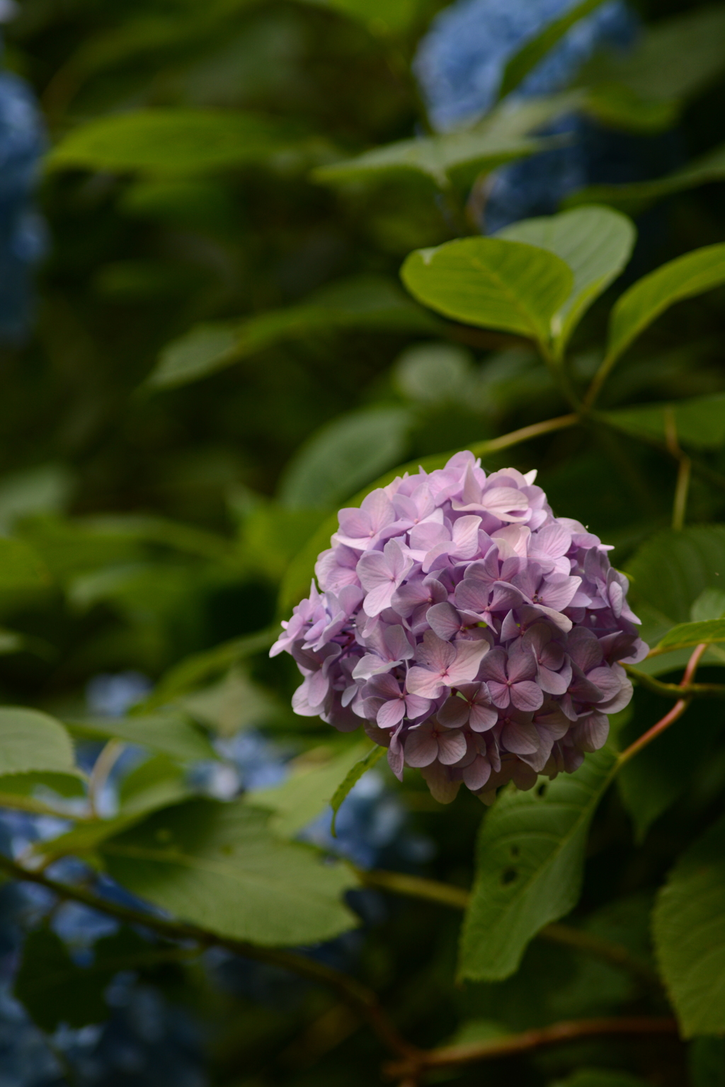 DSC_1756