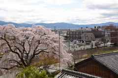 城郡城 053