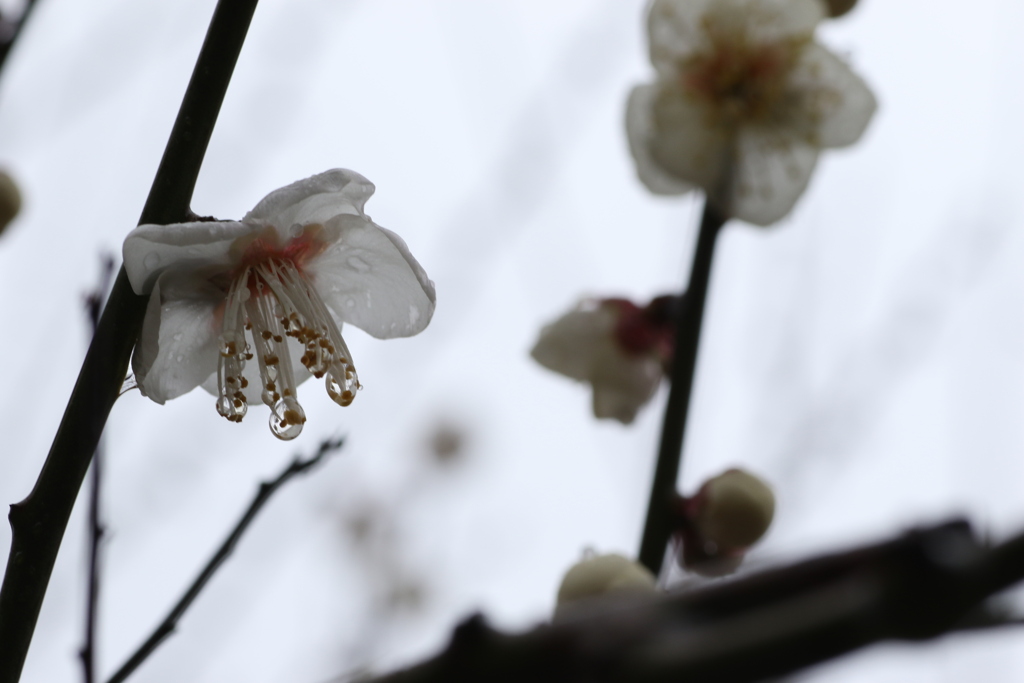 7010FF75-A782-41A0-82D0-5F4597553ECD