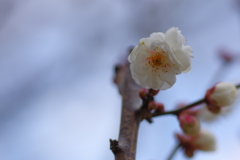IMGP0123