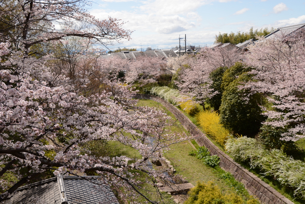 城郡城 035