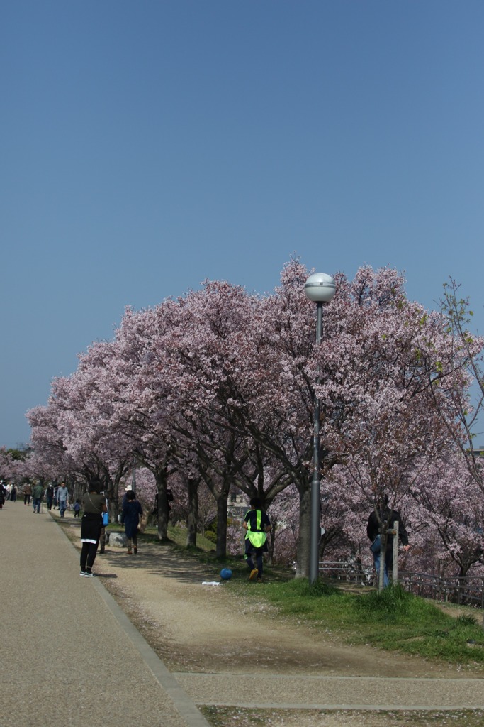 3S0A0755