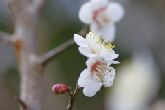IMGP0171