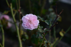 DSC_0941 DSC_0941