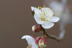 IMGP0172
