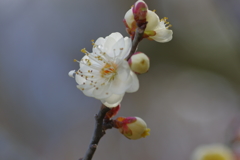 IMGP0269