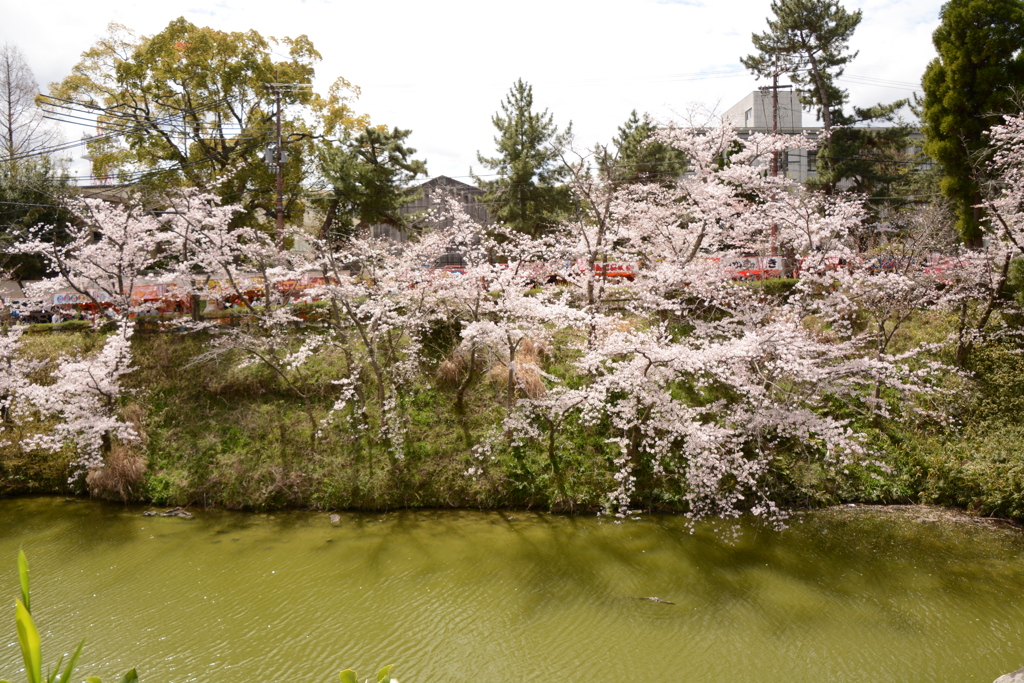 城郡城 065