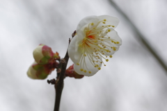 IMGP0326