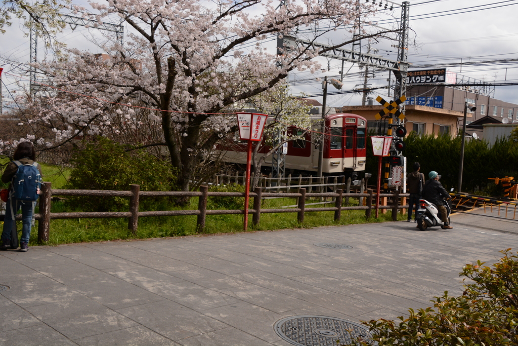 城郡城 003