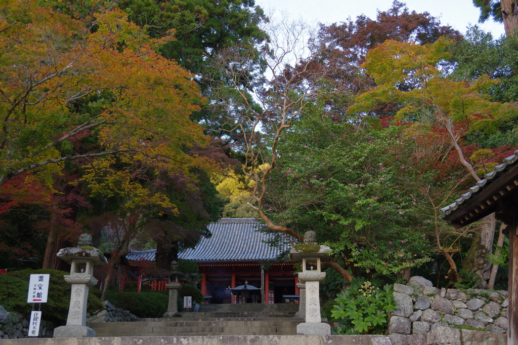 IMGP0483