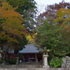 IMGP0483