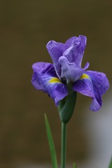 3S0A0488