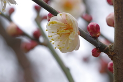 IMGP0350