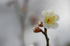 IMGP0140