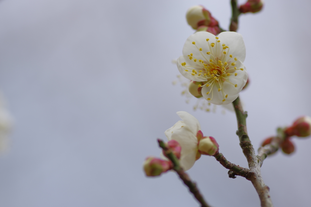 IMGP0137