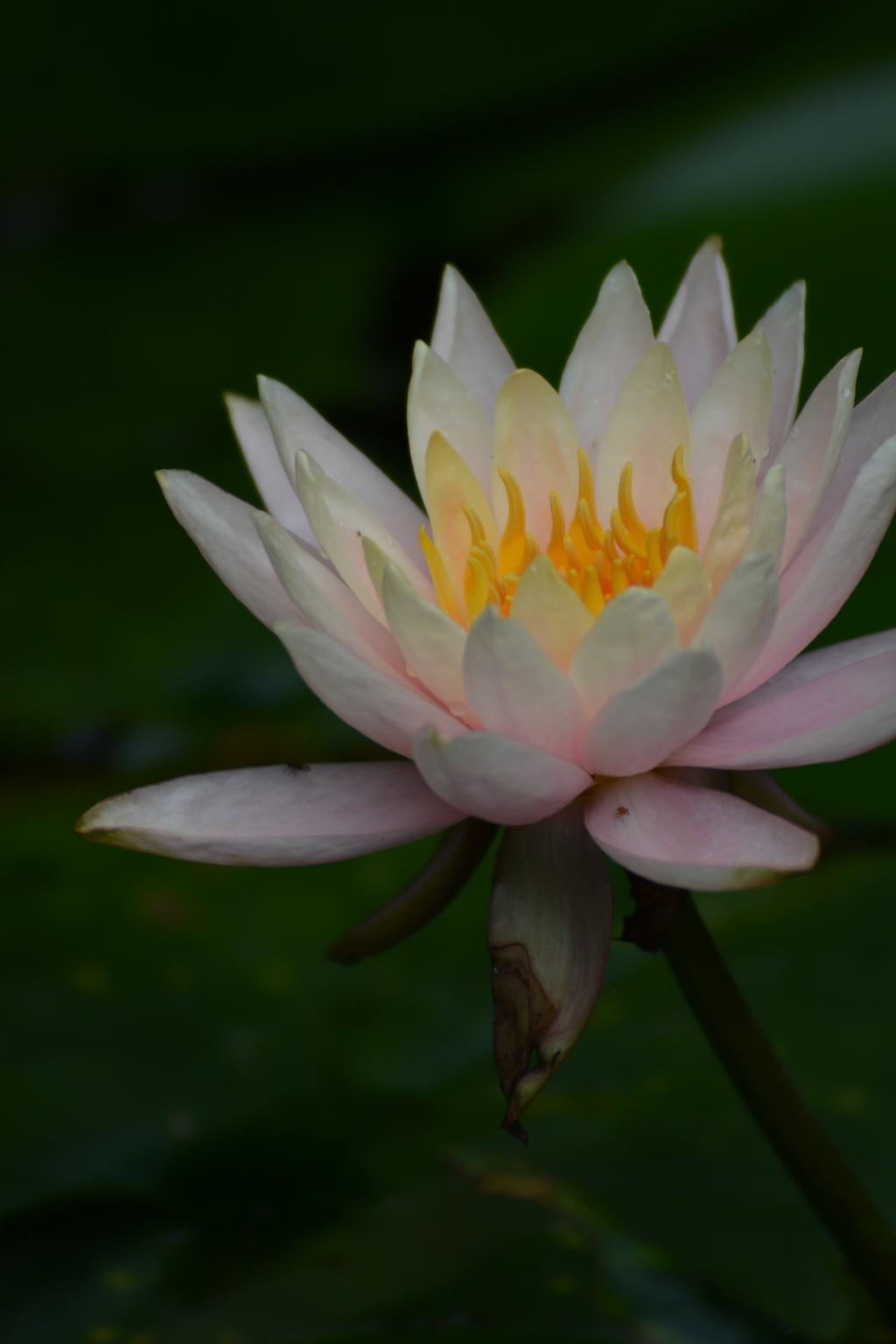 DSC_1743