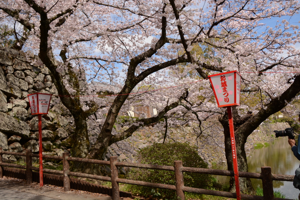 城郡城 004