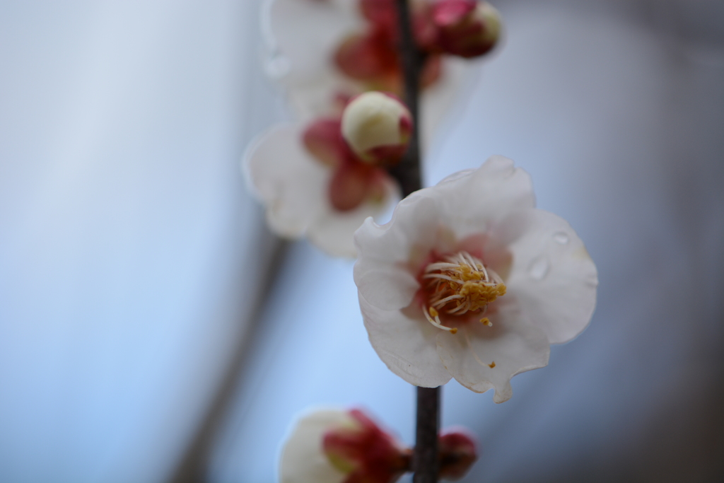 DSC_1208
