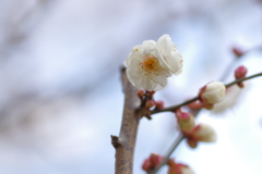 IMGP0122